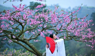 沐浴桃花是什么意思 沐浴桃花是什么意思?