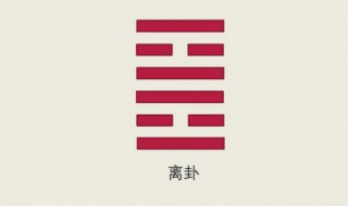 离卦代表什么（离卦代表什么动物）