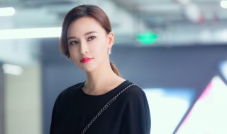 我不是精英剧情介绍（我不是精英剧情介绍电视猫）