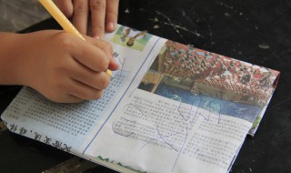 欧力给是什么意思（欧力给是什么意思?）
