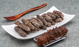 怎么泡干海参（怎么泡发干海参最佳方法）