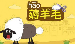 褥羊毛是什么意思 褥羊毛是什么意思羊毛