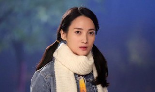 田辣姐妹剧情介绍（田姐辣妹剧情梗概）