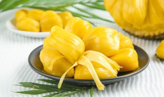 菠萝蜜要怎么存放老是容易坏 菠萝蜜怎样存放不易腐烂