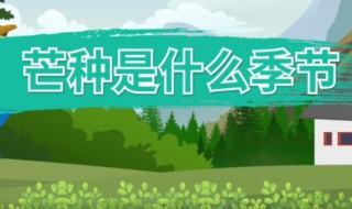 芒种属于哪个季节的节气 芒种属于哪个季节的节气植物