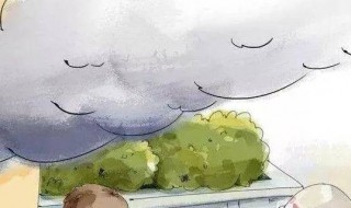 发生火灾如何处理5步骤（发生火灾应该如何处理）