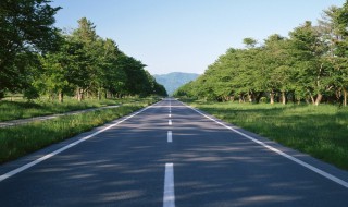 y是什么道路编号（y的道路编号）