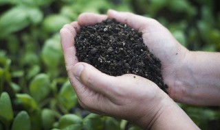 肥料的种类有哪些 微生物肥料的种类有哪些