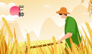 24节气分别是什么 24节气分别是什么意思