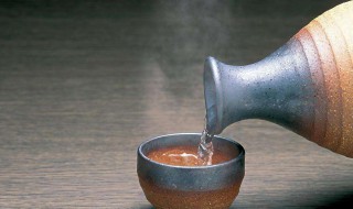 逃酒的小妙招（怎样才能逃酒）