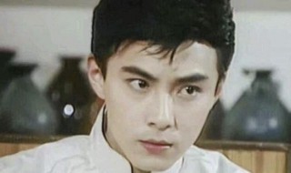 张卫健个人资料简介（张卫健个人资料简介图片）