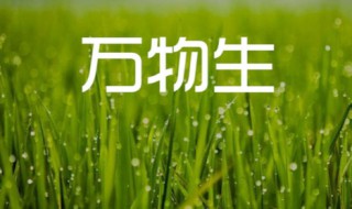 万物死歌词什么意思 万物死 歌词