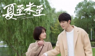 夏至未至主要讲的什么（夏至未至主要讲了什么）