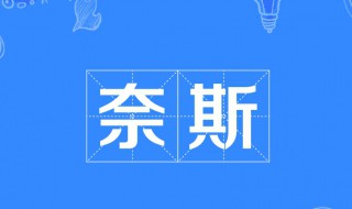 耐斯是什么意思（奈斯是什么意思英文）