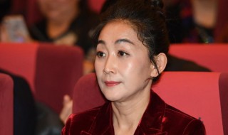 陈瑾个人资料（陈瑾个人资料简介图片）
