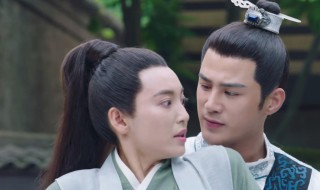 女世子剧情分集剧情介绍（电视剧女世子百度百科）