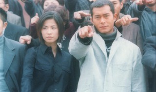 刑事侦缉档案4剧情分集介绍（刑事侦缉档案4剧情分集介绍电视猫）