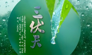 2021年头伏是哪天?（2021年头伏是哪天二伏是哪天）