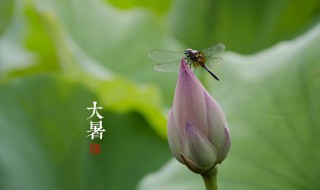 大暑和小暑相差多少天 什么时候是小暑和大暑