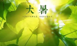 2021大暑是农历几月几日（大暑是几月几日2021年）