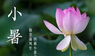 小暑是初伏吗 小暑是初伏吗还是末伏