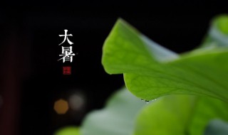 大暑要注意什么（大暑要注意什么视频）