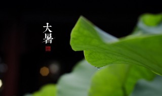 小暑后面是什么节气（小暑之后的节气是什么）