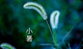 2021年小暑是什么时候 小暑是几月几日2021年