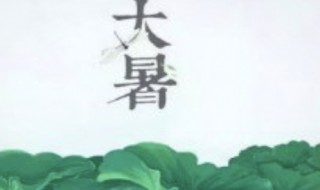 大暑是哪一天2021（大暑是哪一天?）