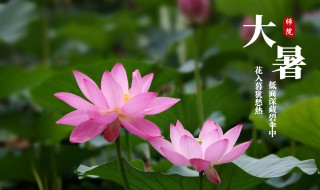 大暑是什么季节的节气（大暑是什么季节的节气啊）