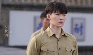 叛逆者剧情介绍演员左秋明 叛逆者左秋明的演员