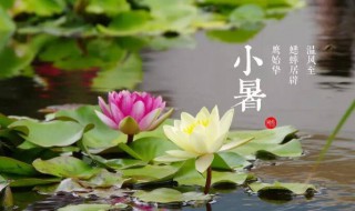 2021小暑大暑是什么时间（2021年大暑小暑是什么时间）