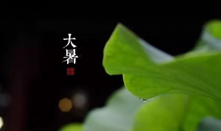 2021牛年大暑节气搬家好不好 2021大暑搬家好吗