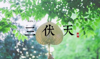 2021年三伏天时间表共多少天（2021年三伏天时间表有多少天）