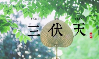 2021年初伏是几月几日 2021年初伏是几月几日哦