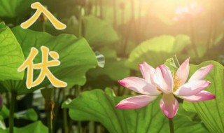 入伏时间2021 入伏时间2021几点几分