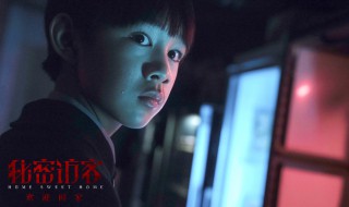 秘密访客结局（秘密访客结局为什么回去）
