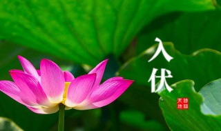 二零二一年入伏时间 二o二一年何时入伏