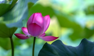 2021年夏天什么时候入伏（2021年夏天什么时候入伏天）