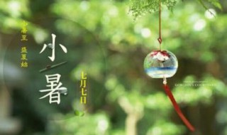 小暑出生的人好吗? 小暑出生的人好吗
