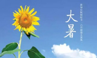 处暑和大暑哪个更热 处暑和大暑哪个更热一些