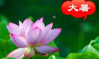 2021年大暑农历什么时候（2021年大暑具体时间）