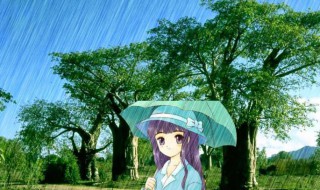 小暑下雨好还是不下雨好 大暑节下雨好还是不下雨好
