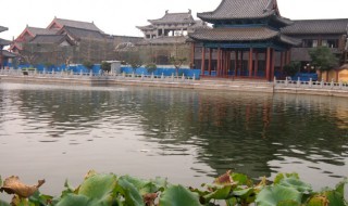 楚河汉界是哪个省（楚河汉界是哪个省的）