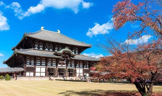 奈良是日本哪个城市 奈良是日本哪个城市的
