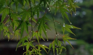 苏州梅雨季节是几月份 苏州梅雨季节是几月份2021