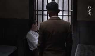 电视剧王志文演叛逆者剧情介绍 电视剧叛逆者王志扮演者
