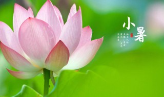 24节气小暑节气的含义是什么 24节气小暑的意思