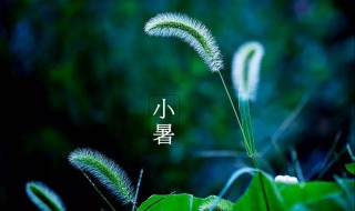 小暑节气的含义及习俗 小暑节气的寓意和传统