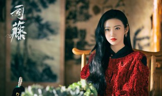 司藤大结局西西是谁（司藤最后结局西西是谁）